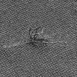 糸のつれ1箇所(20cm以上)